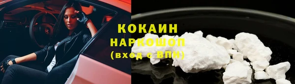 спайс Каменка