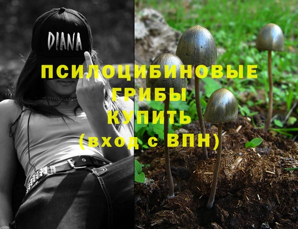 кокс Карпинск