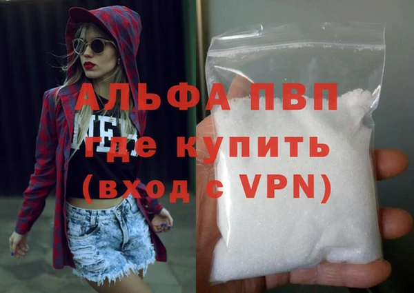 спайс Каменка