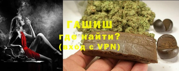 спайс Каменка