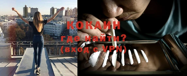спайс Каменка