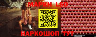 стафф Бийск