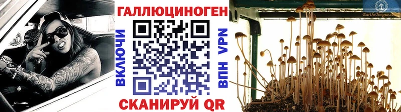 Галлюциногенные грибы ЛСД  Волгоград 