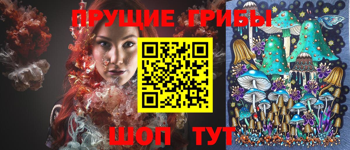 Псилоцибиновые грибы GOLDEN TEACHER Волгоград