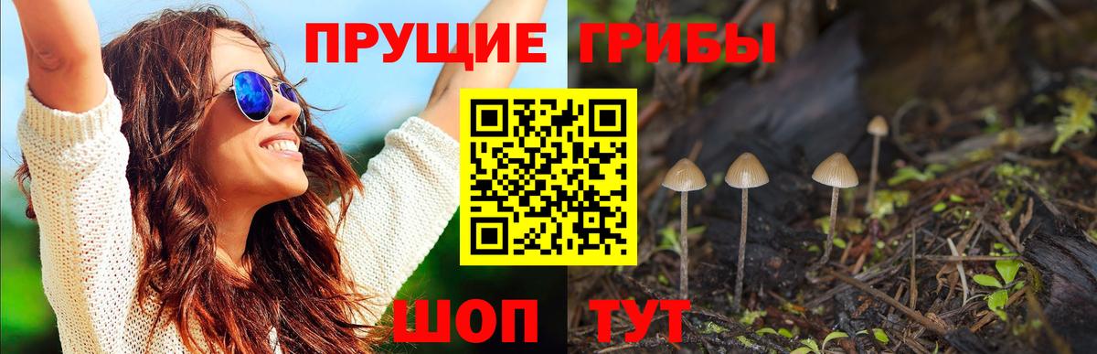 Галлюциногенные грибы мухоморы  Вход с VPN  Волгоград 